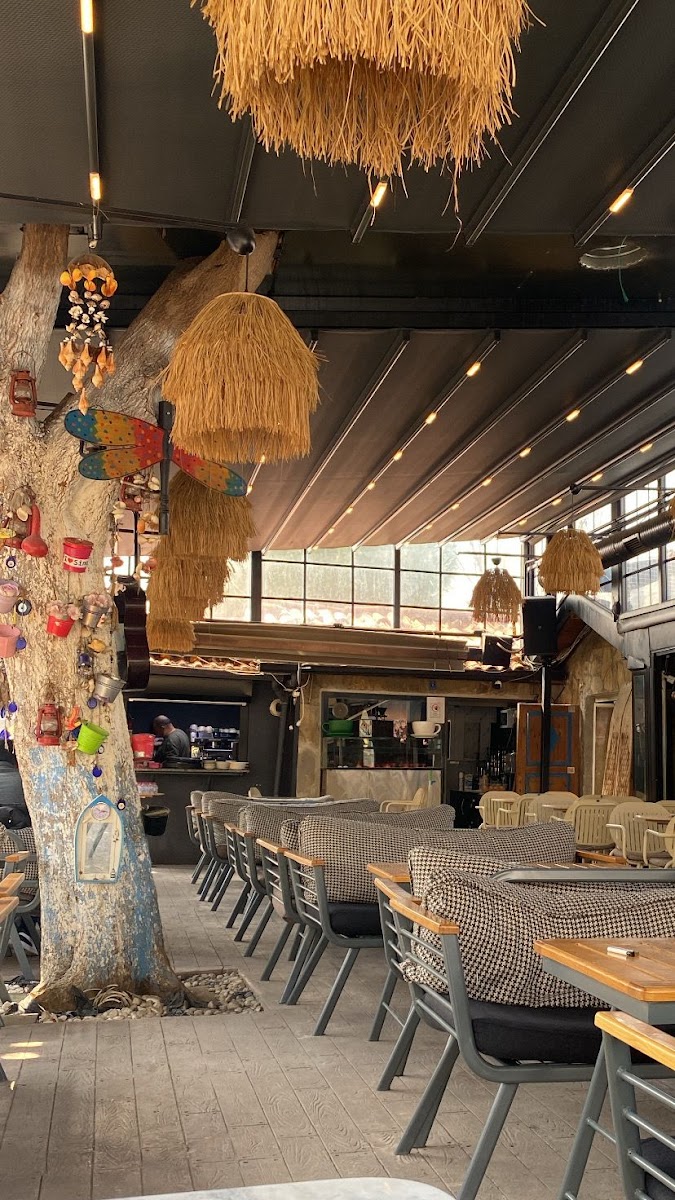 Sakız Dondurma — fotoğraf 2