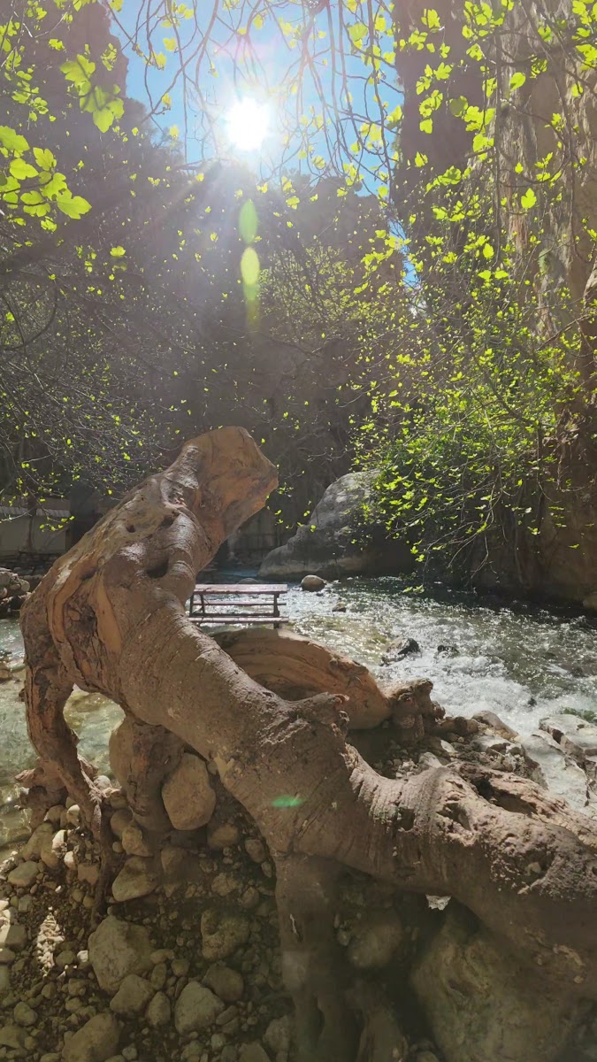 Saklıkent Milli Parkı — fotoğraf 2