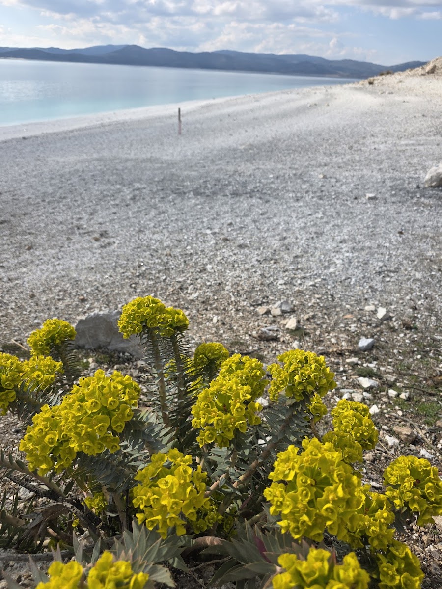 Salda Gölü — fotoğraf 2