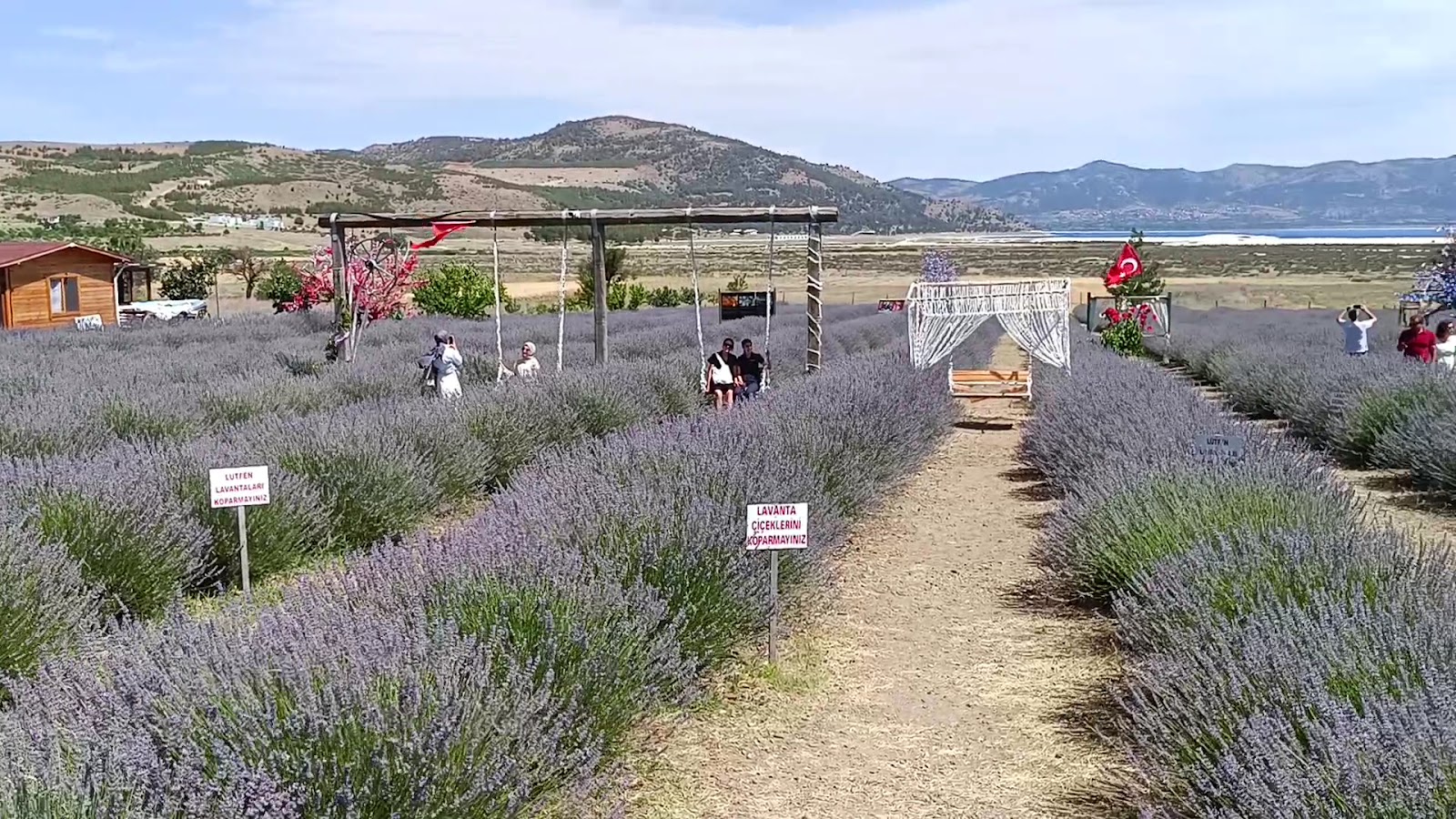 SALDA LAVANTA — fotoğraf 3