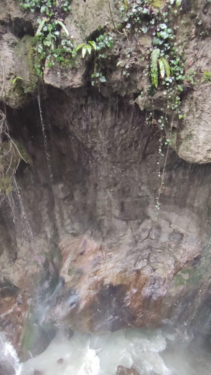 Samandere Şelalesi Tabiat Anıtı — fotoğraf 2