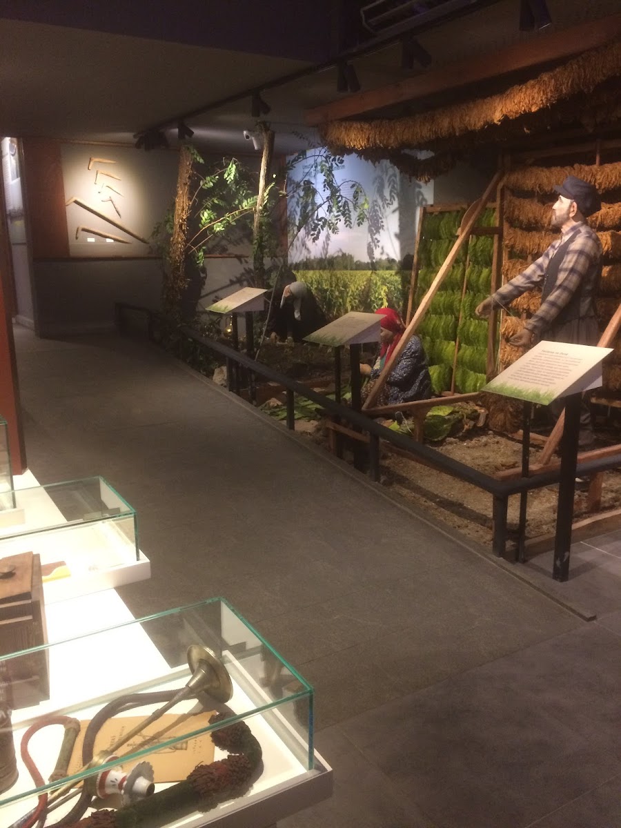 Samsun Kent Müzesi — fotoğraf 4