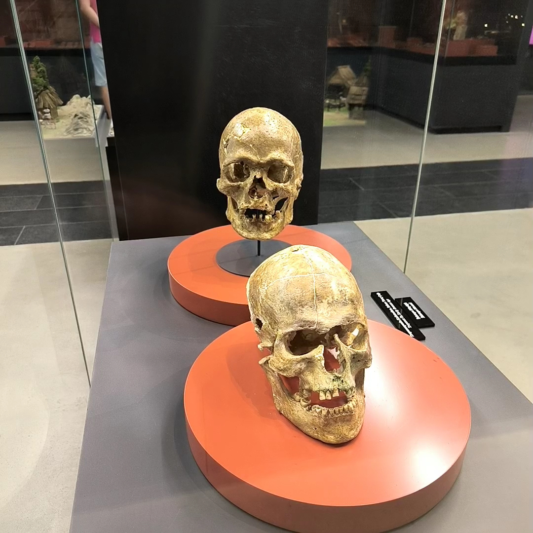 Samsun Müzesi — fotoğraf 3