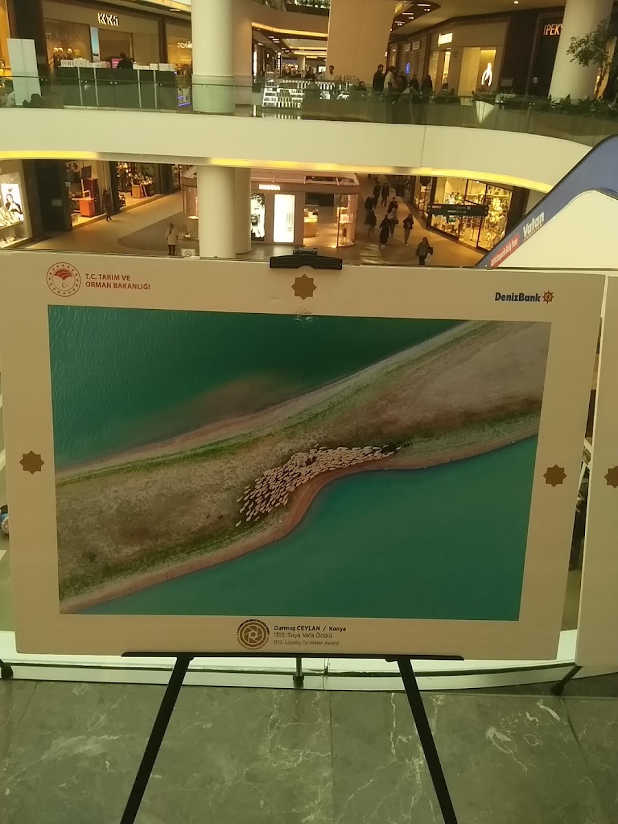 Samsun Piazza — fotoğraf 2