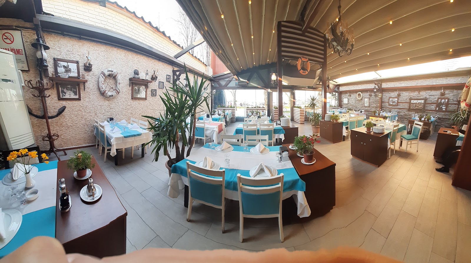 Sandal Balık — fotoğraf 5