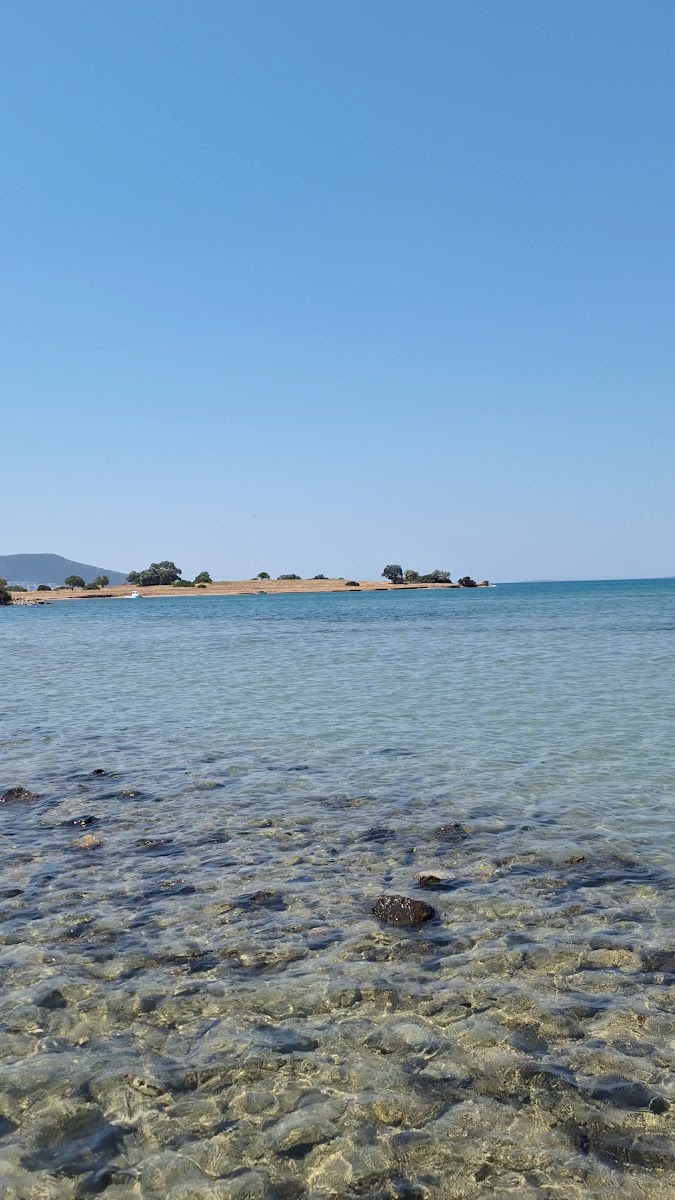 Saplı Ada — fotoğraf 3