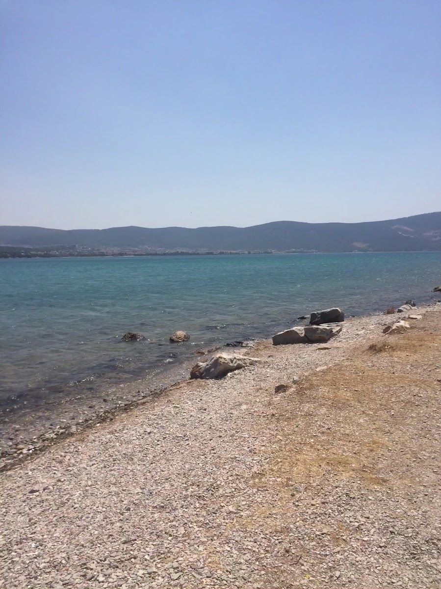 Saplı Ada — fotoğraf 5