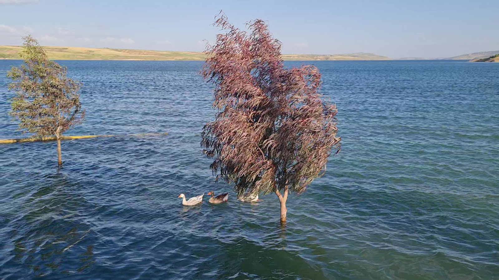 Saray Burnu Restaurant Cafe — fotoğraf 3