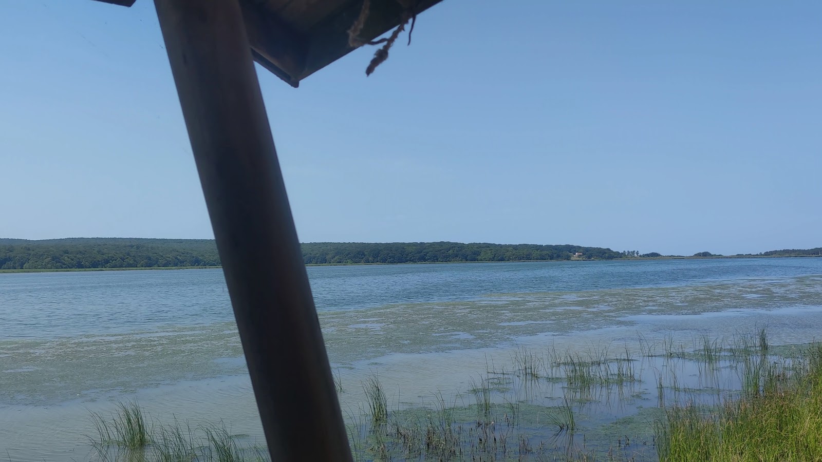 Sarıkum Gölü Tabiatı Koruma Alanı — fotoğraf 2