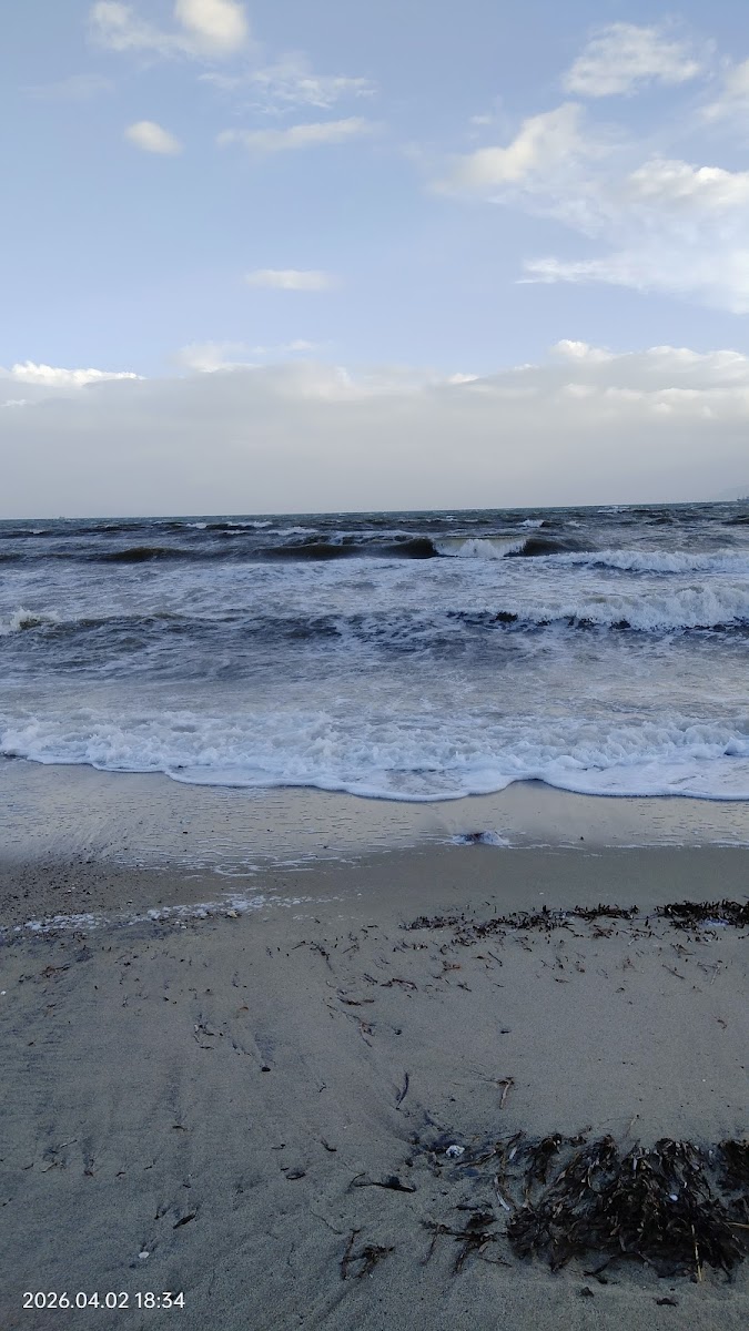 Sarımsaklı Plajı — fotoğraf 2