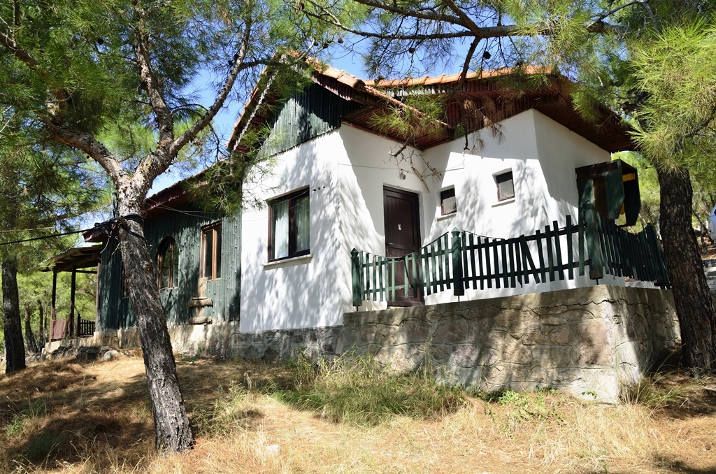 Sarımsaklı Tabiat Parkı — fotoğraf 1