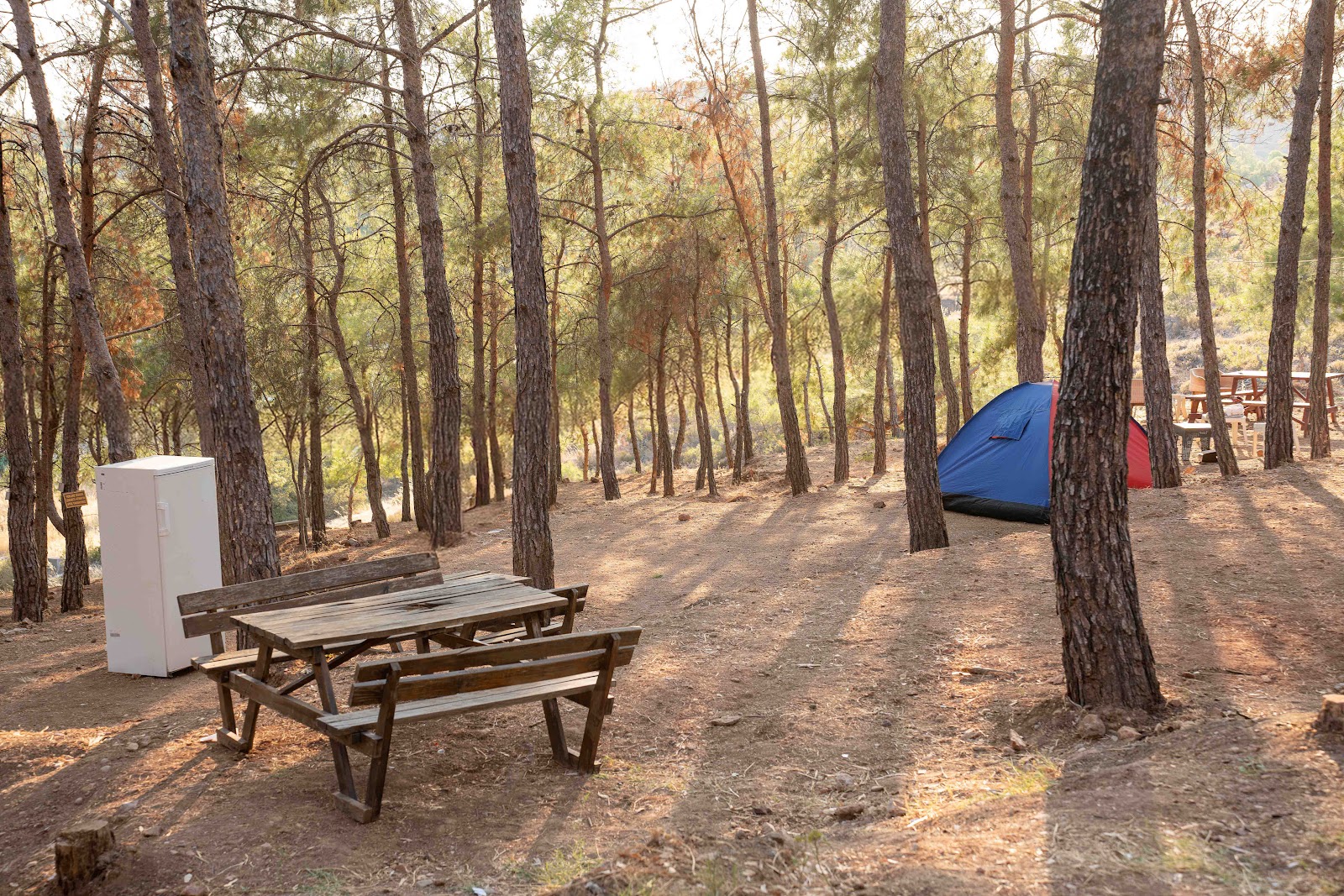 Sarımsaklı Tabiat Parkı — fotoğraf 2