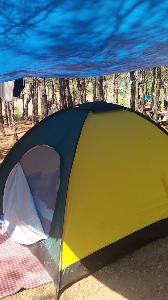 Sarımsaklı Tabiat Parkı — fotoğraf 3