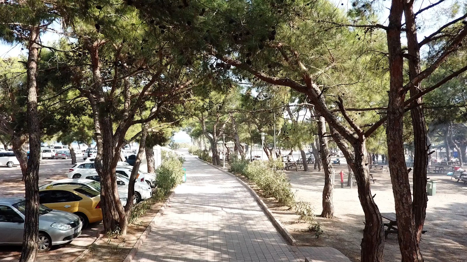 Sarısu Mesire Alanı — fotoğraf 4