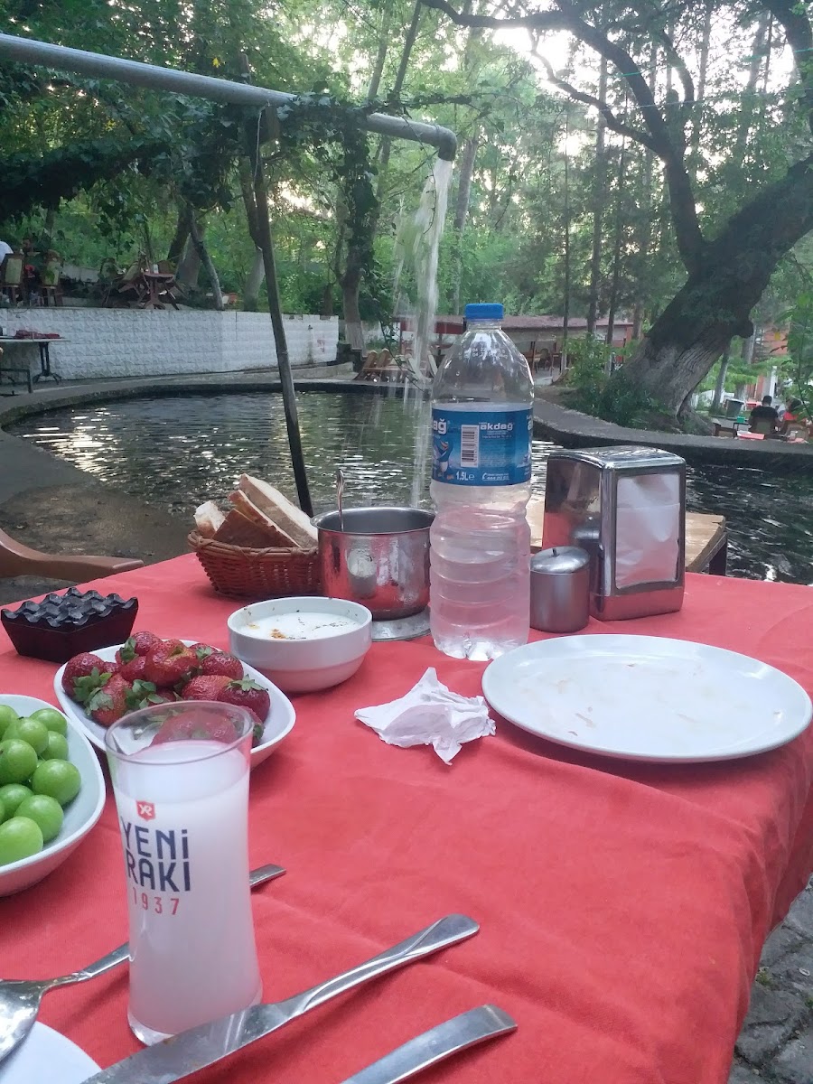 Şarlayık Mesire Yeri — fotoğraf 4