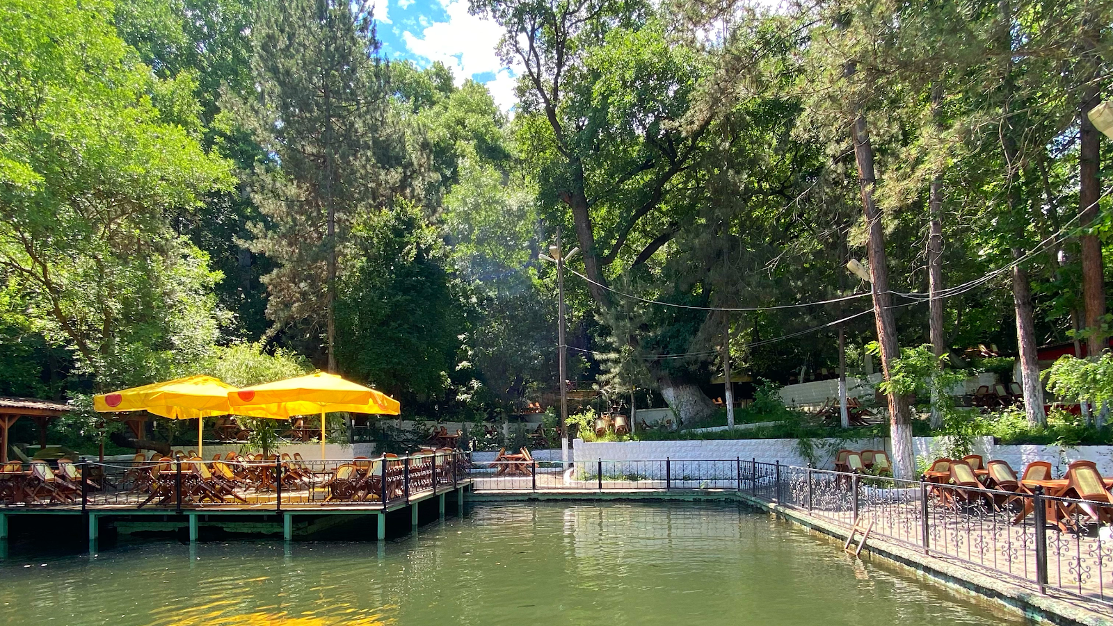 Şarlayık Mesire Yeri — fotoğraf 6