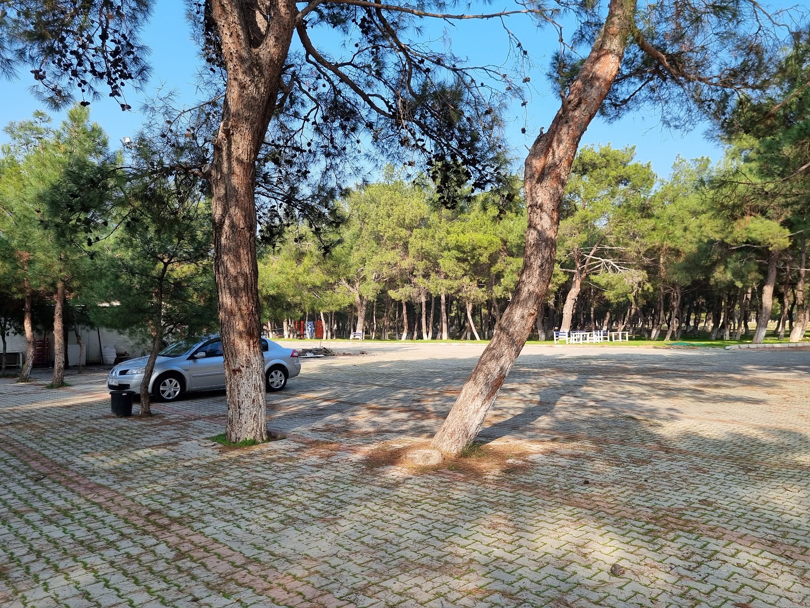 Sarnıç Piknik Alanı — fotoğraf 1