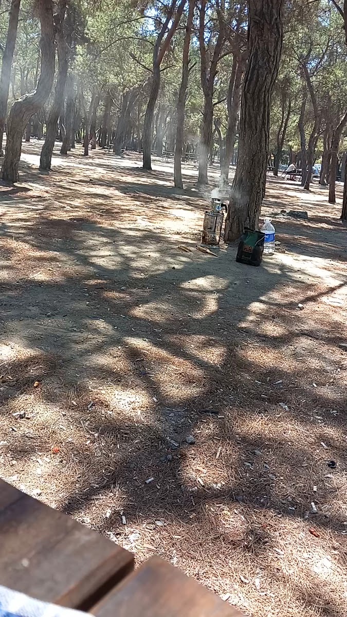 Sarnıç Piknik Alanı — fotoğraf 3
