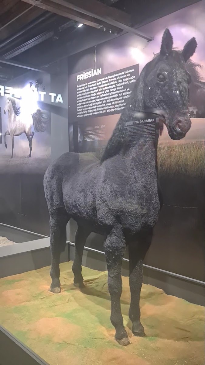 Savaş Atları Müzesi — fotoğraf 3