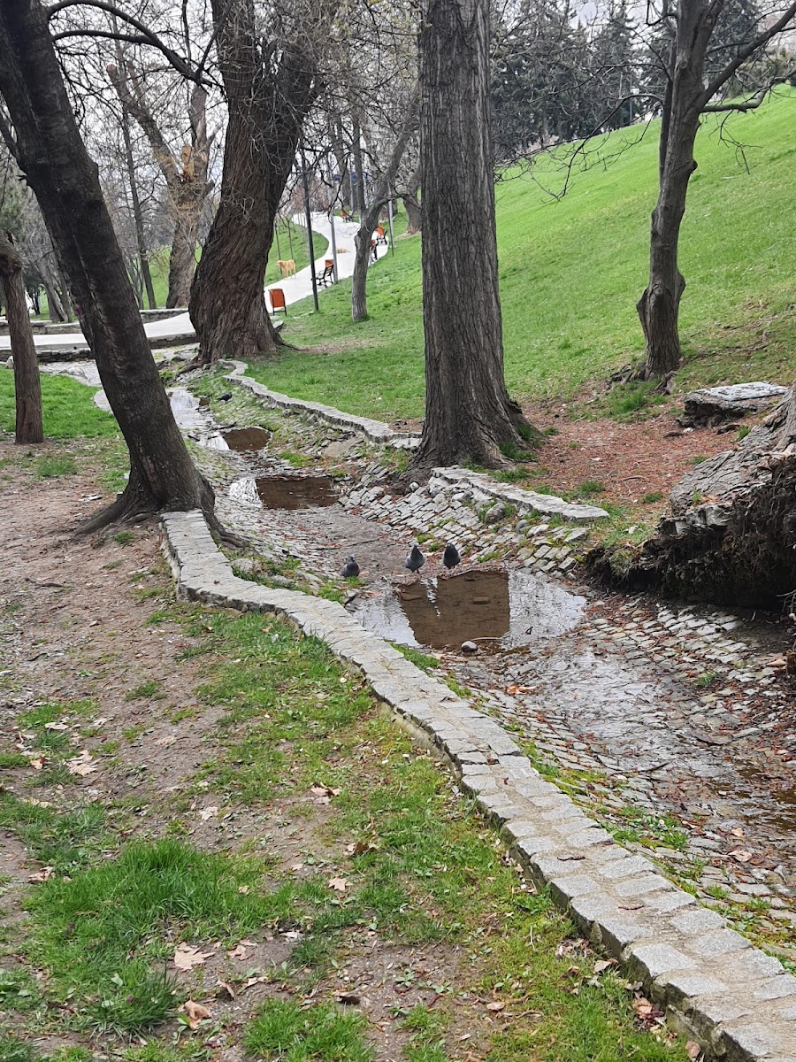 Seğmenler Parkı — fotoğraf 2