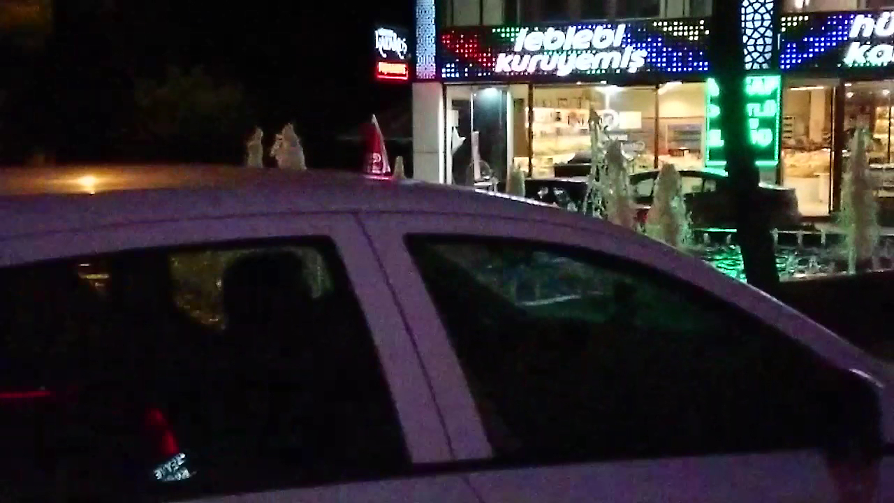 Sehir Pastanesi — fotoğraf 3