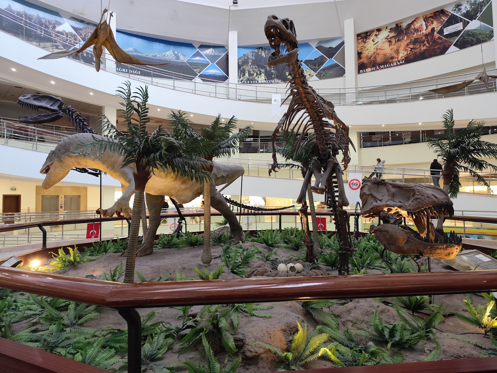 Şehit Cuma Dağ Tabiat Tarihi Müzesi — fotoğraf 1