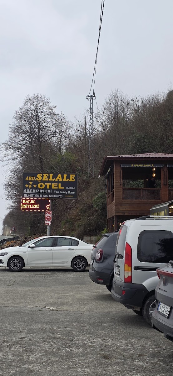 Şelale Balık lokantası — fotoğraf 2