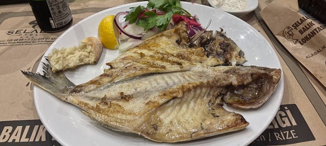 Şelale Balık lokantası — fotoğraf 7