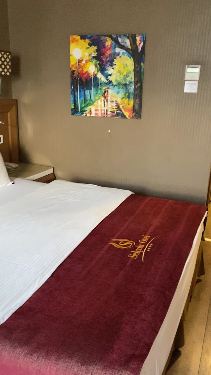 Selçuk Otel — fotoğraf 3