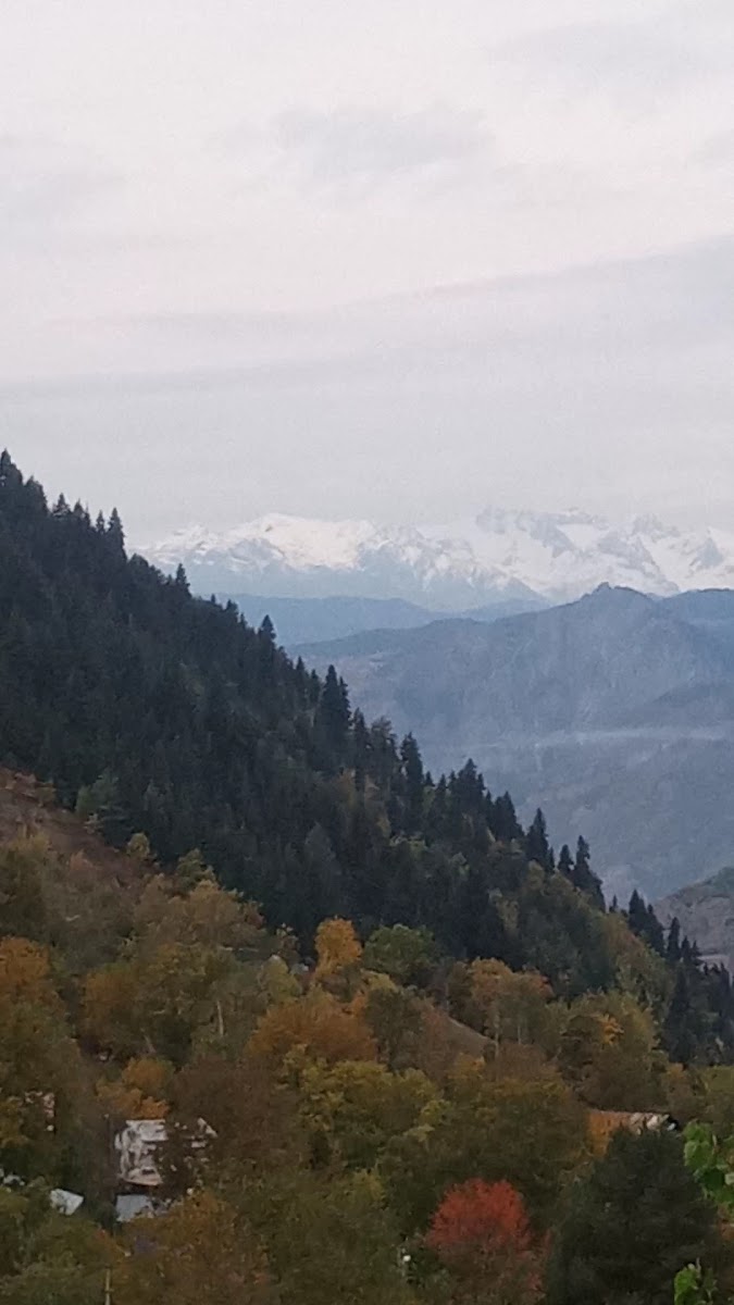 Semazen Kafe — fotoğraf 3