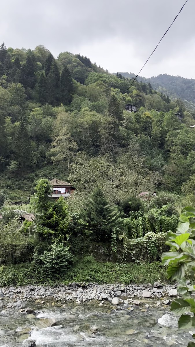 Şenyuva Köprüsü — fotoğraf 3