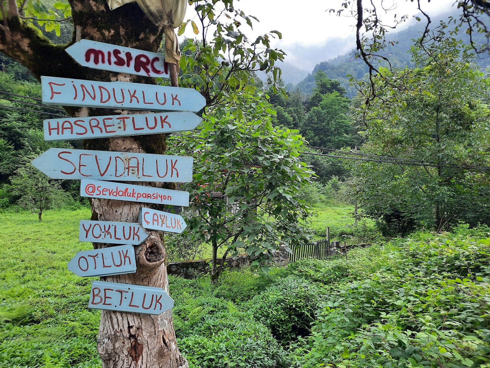 Şenyuva Köprüsü — fotoğraf 4