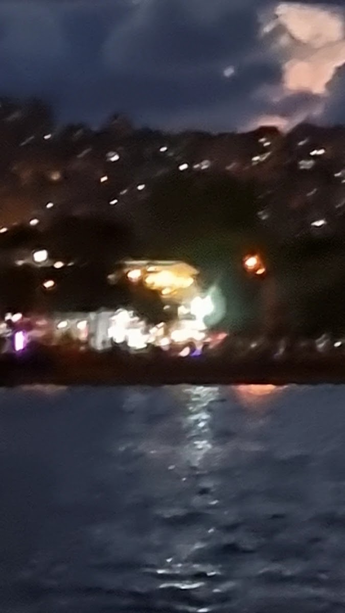 Sevgi Cafe — fotoğraf 3