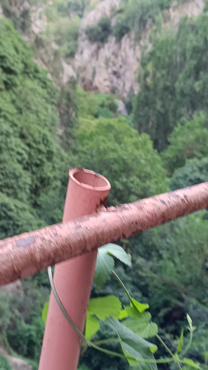 Şeyh Edebali Kanyonu — fotoğraf 4