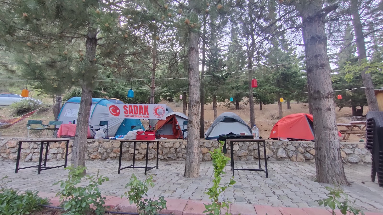 Seyit Ali Parkı Aile Çay Bahçesi — fotoğraf 1