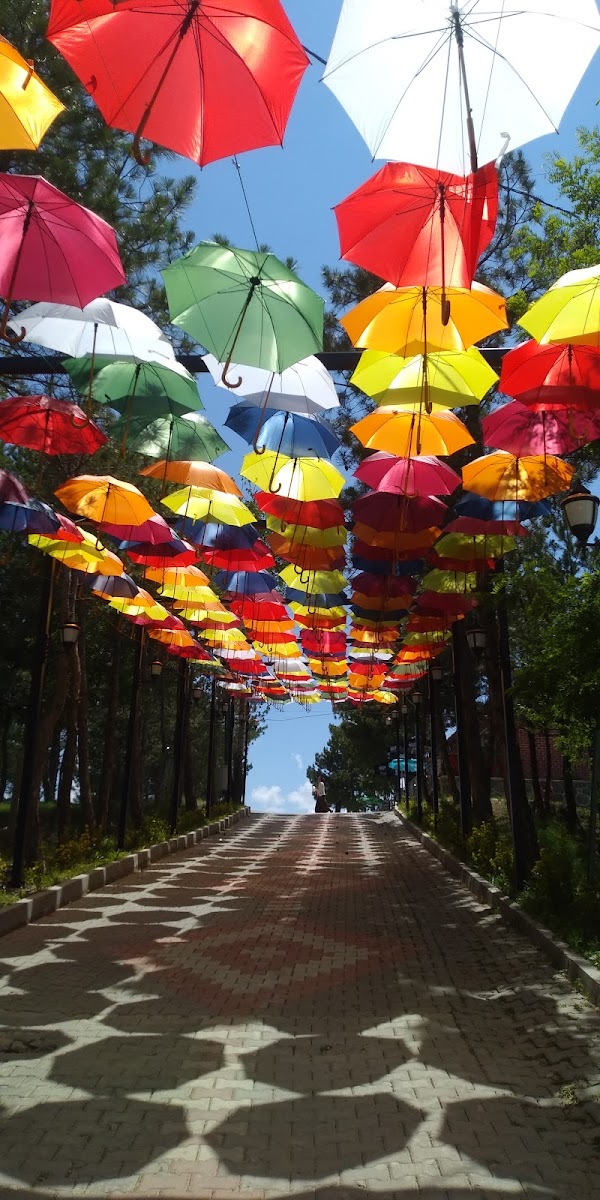 Seyr-i Kurşun Cafe Bistro — fotoğraf 1