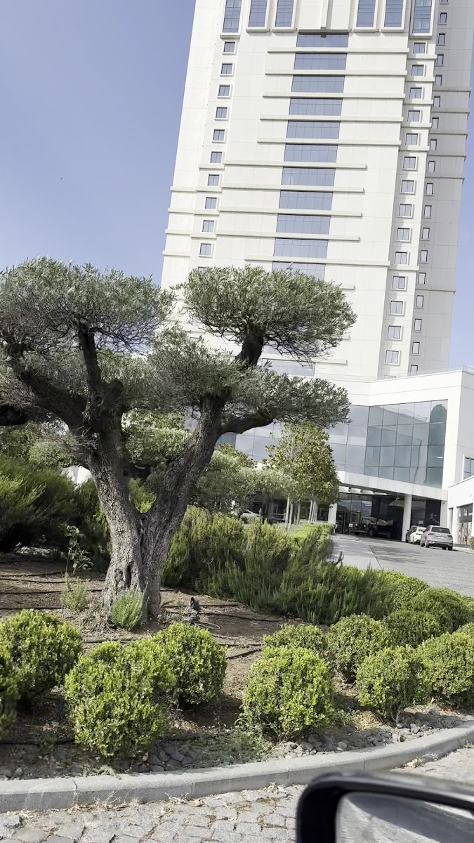 Sheraton Grand Samsun Hotel — fotoğraf 3