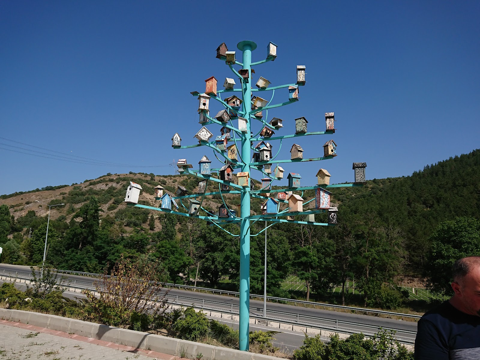 Sıklık Tabiat Parkı — fotoğraf 2