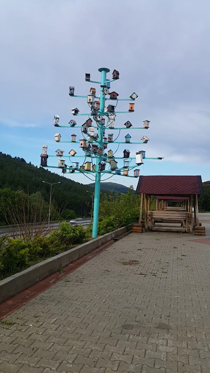 Sıklık Tabiat Parkı — fotoğraf 3