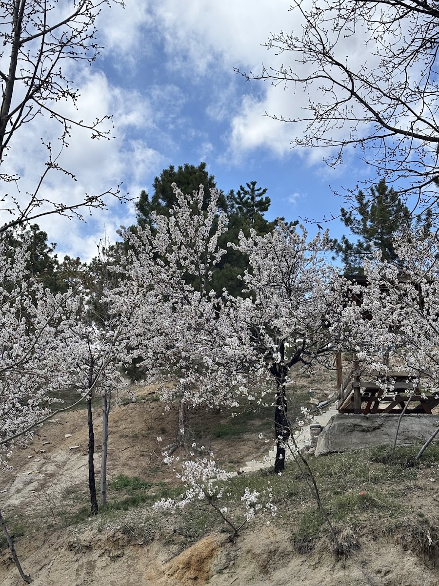 Sille Baraj Parkı — fotoğraf 2