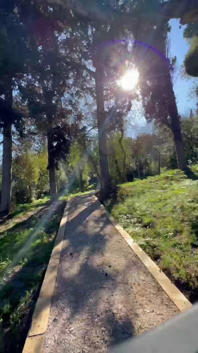 Sinop Bahçeler Villa — fotoğraf 3