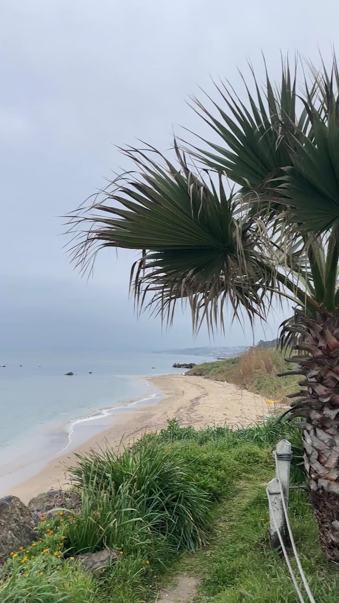 Sinop Beyaz Ev Otel — fotoğraf 2