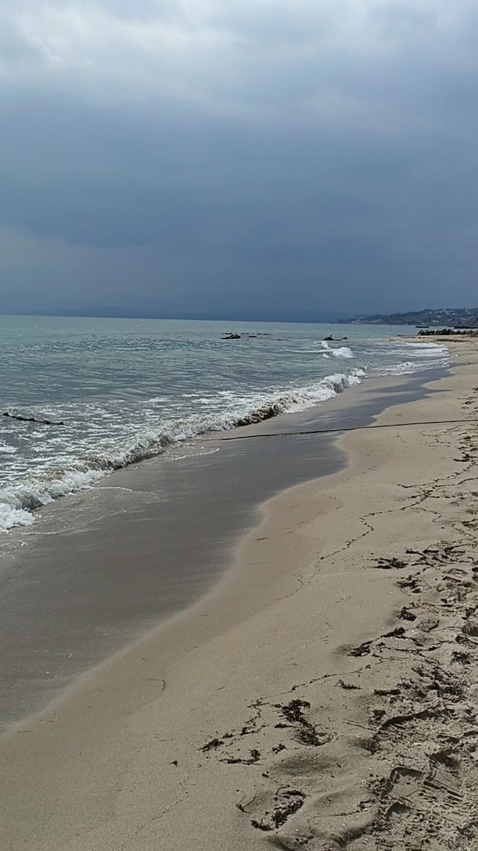 Sinop Beyaz Ev Otel — fotoğraf 3