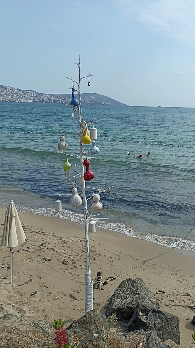 Sinop Beyaz Ev Otel — fotoğraf 7