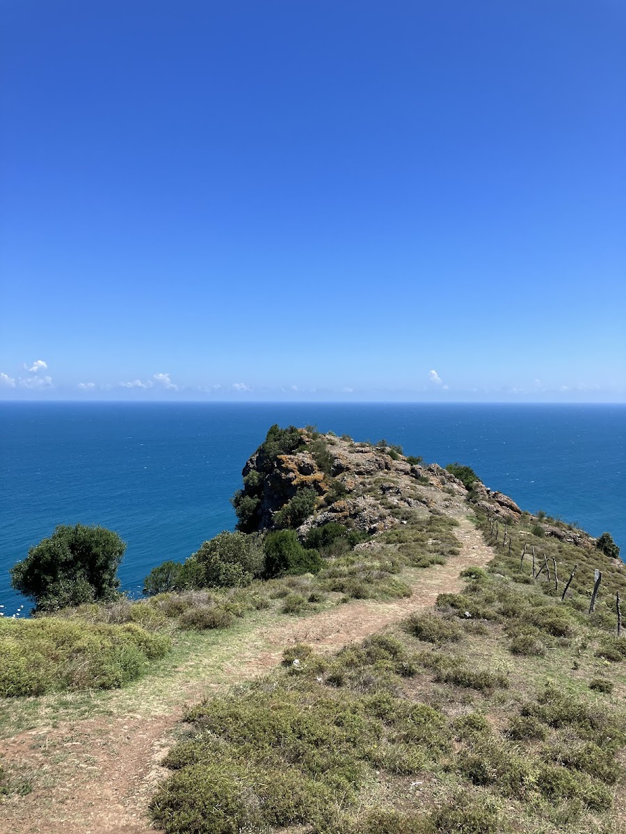 Sinop: Sinop Burnu, sahil ve Sarıkum