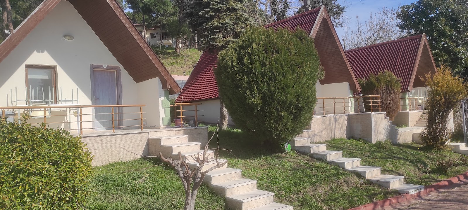 Sinop OGM Kamp Alanı — fotoğraf 1