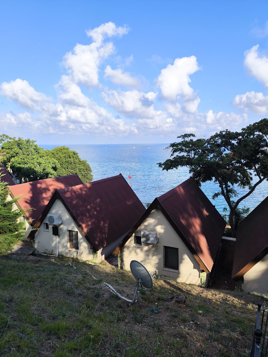 Sinop OGM Kamp Alanı — fotoğraf 4