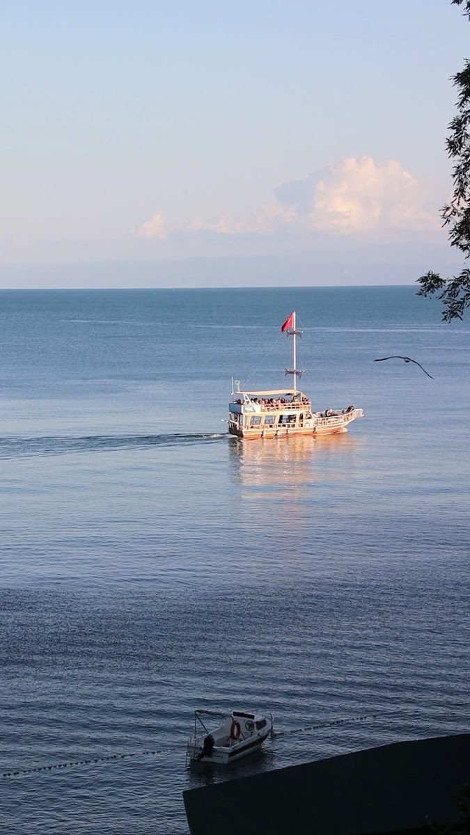 Sinop Orman Kampı — fotoğraf 5