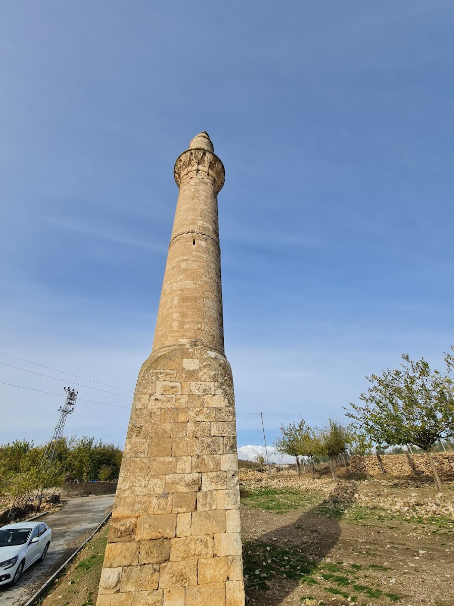 Sofraz Ören Yeri — fotoğraf 1