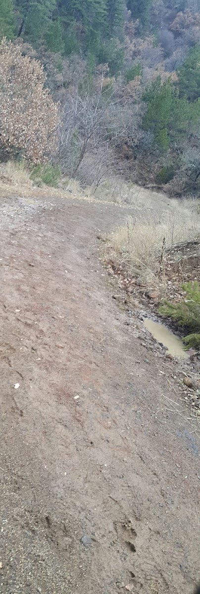 Soğuksu Milli Parkı — fotoğraf 5